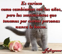 /album/fotogaleria/es-curioso-jpg/